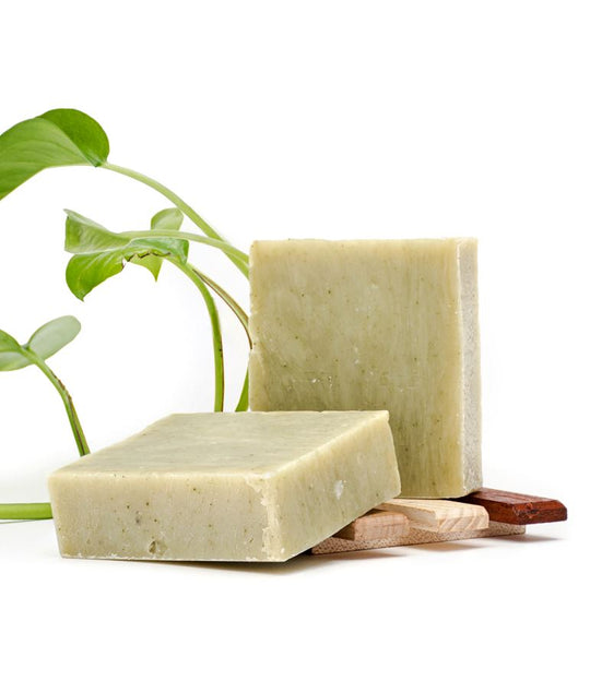 A.S.K Single Bar Iron Lion Soap