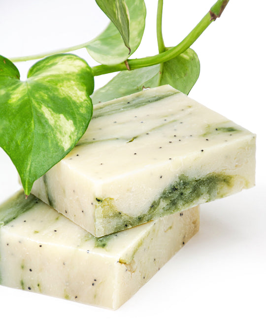 KoLD Single Bar Iron Lion Soap