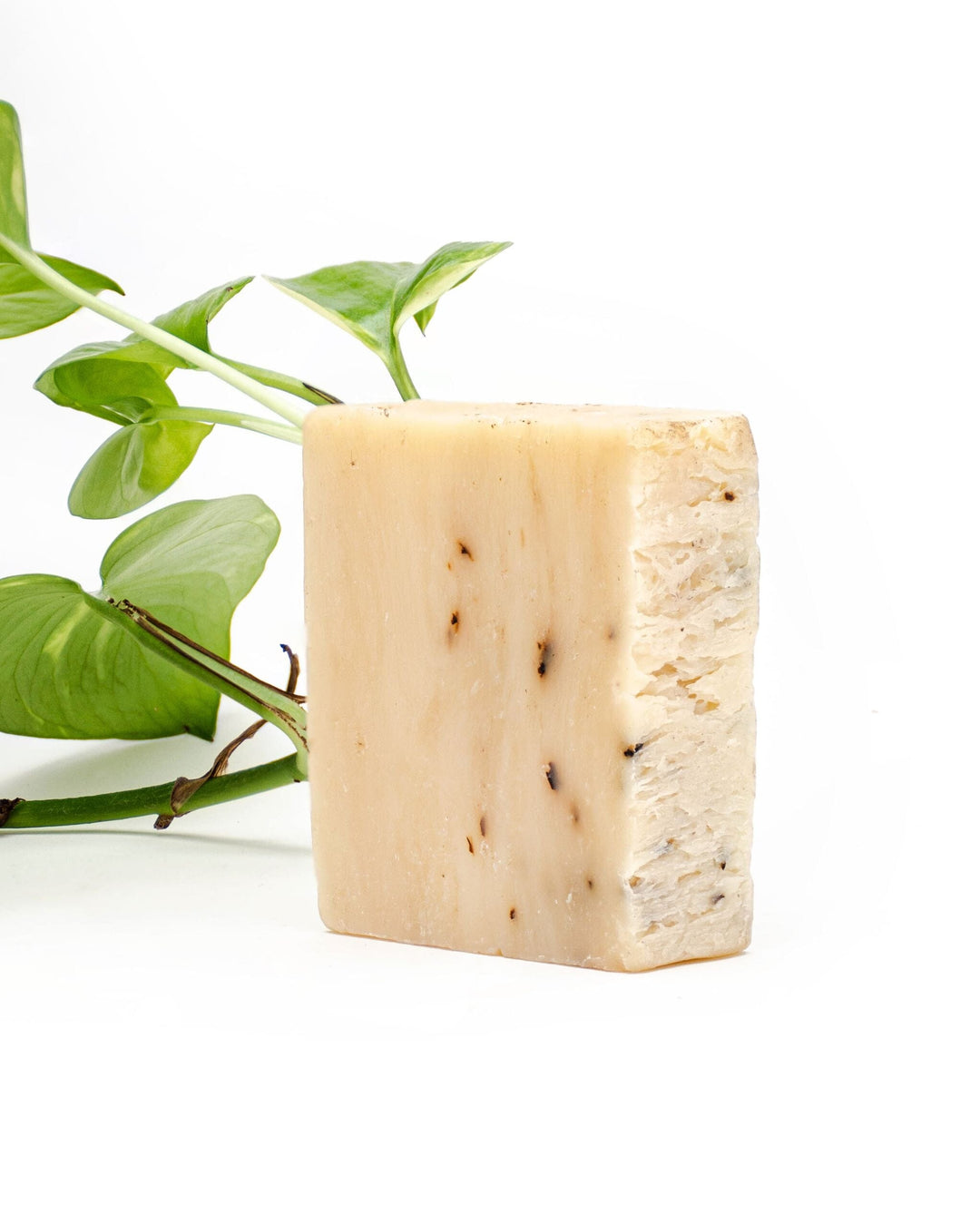 OneOne7 Single Bar Iron Lion Soap