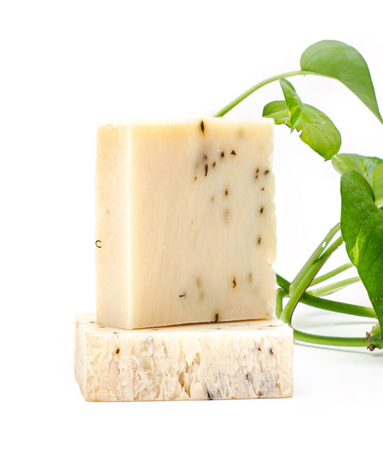 OneOne7 Single Bar Iron Lion Soap