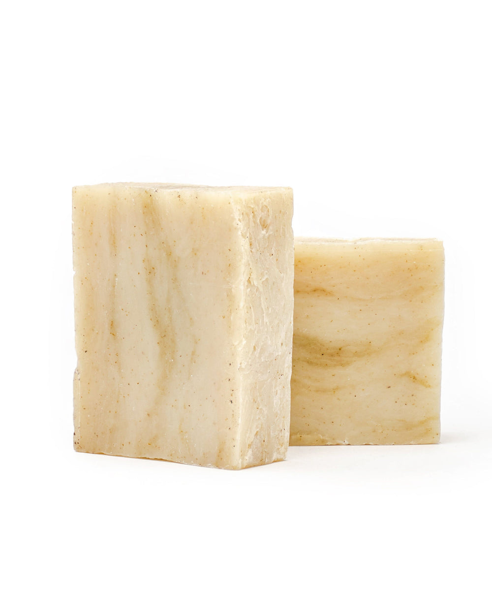 T2 Single Bar Iron Lion Soap