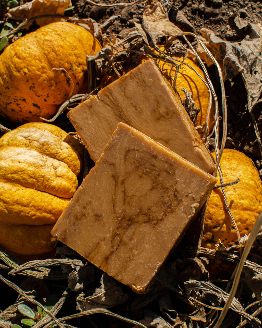 Spooky Pumpkin Iron Lion Soap 